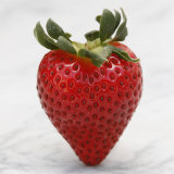 Sweet Strawberry