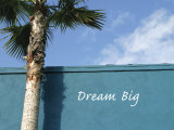 Buy Dream Big at AllPosters.com