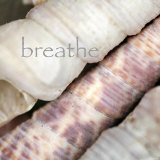 Buy Breathe at AllPosters.com