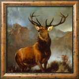 Monarch of the Glen