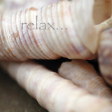 Relax