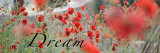 Buy Dream Flowers II at AllPosters.com