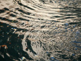 Buy Water Drops III at AllPosters.com