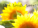 Live Laugh Love: Sunflower