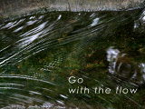 Go with the Flow