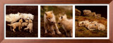 Buy Wolf Family Portrait at AllPosters.com