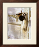 Buy Wren on the Doorknob at AllPosters.com