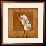 Buy Golden Orchid I at AllPosters.com