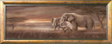 Gentle Giants