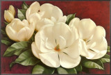 Magnolia Crimson I