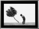 The Tree