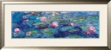 Waterlilies