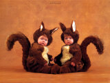 Squirrels