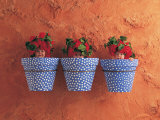 Mediterranean Pots