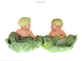 Cabbage Kids