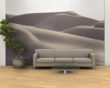 Several Sand Dunes Appear to Rise Like Giant Waves