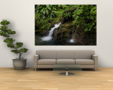 Two Small Waterfalls Flow into Fresh Water Pond in a Rain Forest