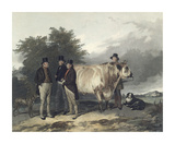 Buy Four Men With A Bull at AllPosters.com
