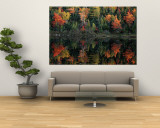 Buy Autumn Foliage Reflected in a Canadian Lake at AllPosters.com