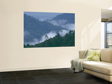Buy Cloud Forest, Central America at AllPosters.com