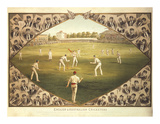English And Australian Cricketers