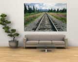 Alaska Railroad Tracks Lined on Either Side by Pink Fireweed