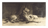 Buy Companions at AllPosters.com