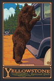 Don't Feed the Bears, Yellowstone National Park, Wyoming