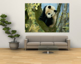 Buy Juvenile Giant Panda at AllPosters.com
