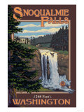 Snoqualmie Falls by Day, Washington