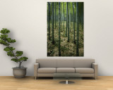 Buy Slender Green Trunks in a Bamboo Forest at AllPosters.com