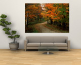 Country Road in the Fall, Vermont, USA
