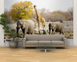 African Elephants and Giraffe at Watering Hole, Namibia