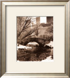 Central Park Bridge IV