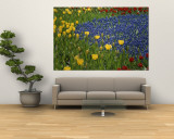 Buy A Garden of Colorful Tulips and Grape Hyacinths in New York City at AllPosters.com