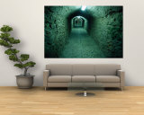 Buy Catacombs Beneath d'Alt Vila, Old Walled Town, Ibiza City, Balearic Islands, Spain at AllPosters.com