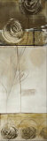 Buy Ideal Botanical II at AllPosters.com