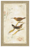 Long-Billed Sunbird
