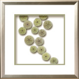 Urchin Tidepool I