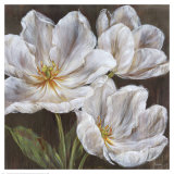 Buy Snowfire at AllPosters.com