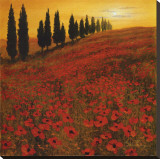 Buy Poppies at AllPosters.com