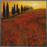 Buy Poppies at AllPosters.com