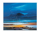 Buy Flocks Of Gulls at AllPosters.com