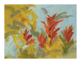 Bromeliad Essence I