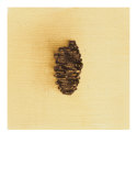 Fundamental Nature II