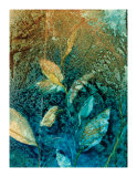 Buy Natural Selection III at AllPosters.com