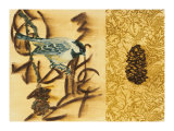 Fundamental Nature I