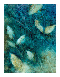 Buy Natural Selection I at AllPosters.com