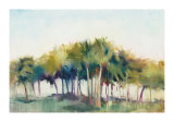 Coconut Grove