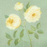 Buy Abundant Rose I at AllPosters.com